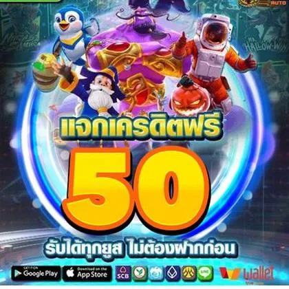 65X 65X
